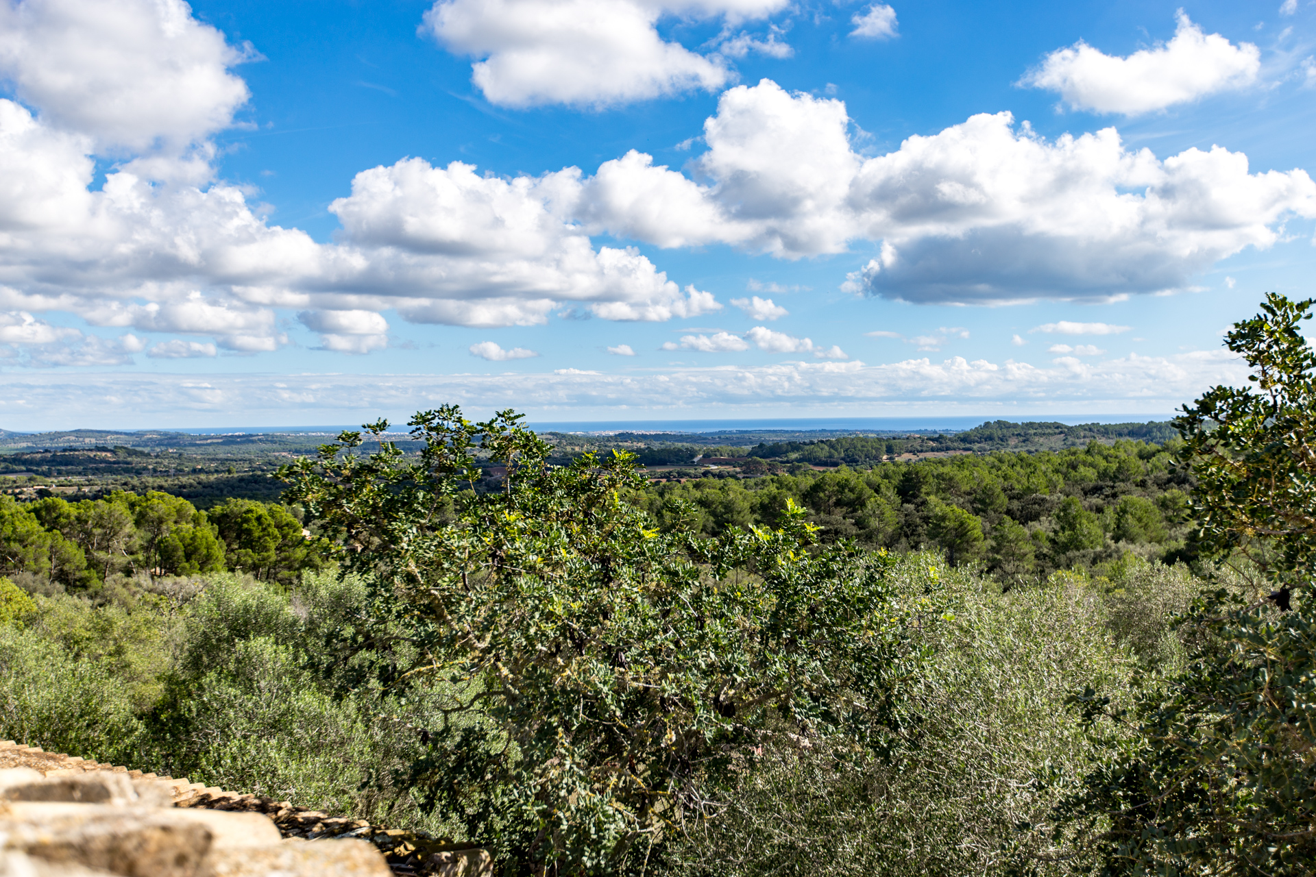 Oportunidad! Amplia finca rústica con espectaculares vistas sobre el valle y el mar en Manacor