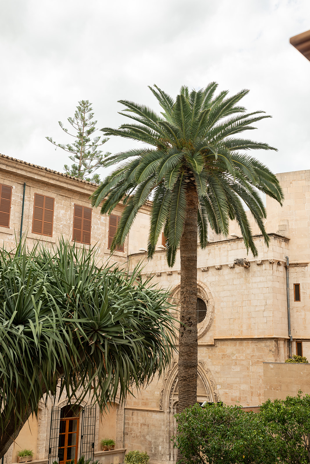 Apartamento dúplex en primera linea y con vistas espectaculares en La Lonja, Palma