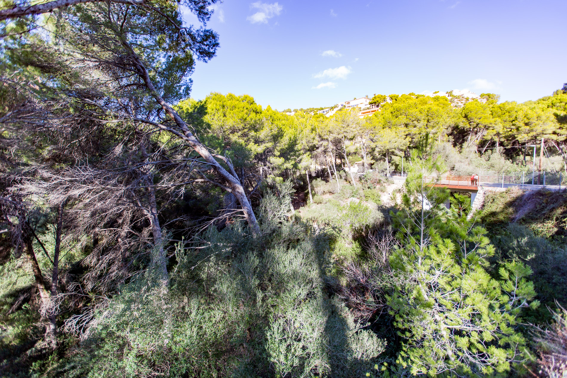 Solar con licencia y vistas al Puerto de Andratx hacia el mar y al pueblo de Andratx, Can Borras