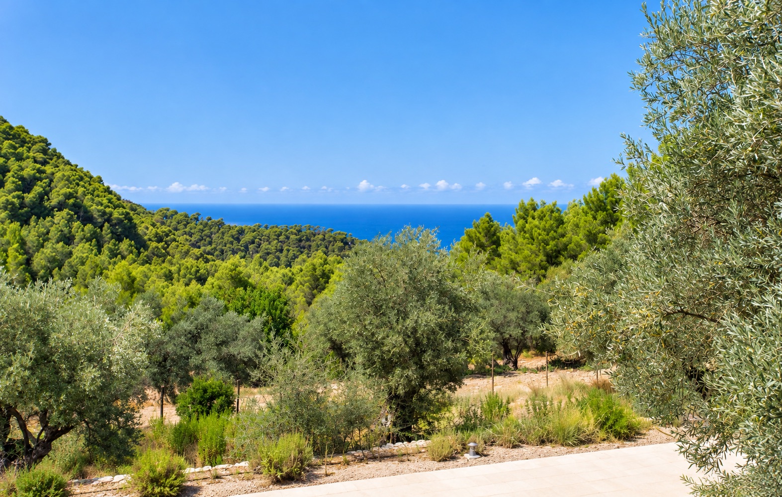 Villa con vistas al mar en plena Sierra de Tramuntana, en Estellens — photo 1
